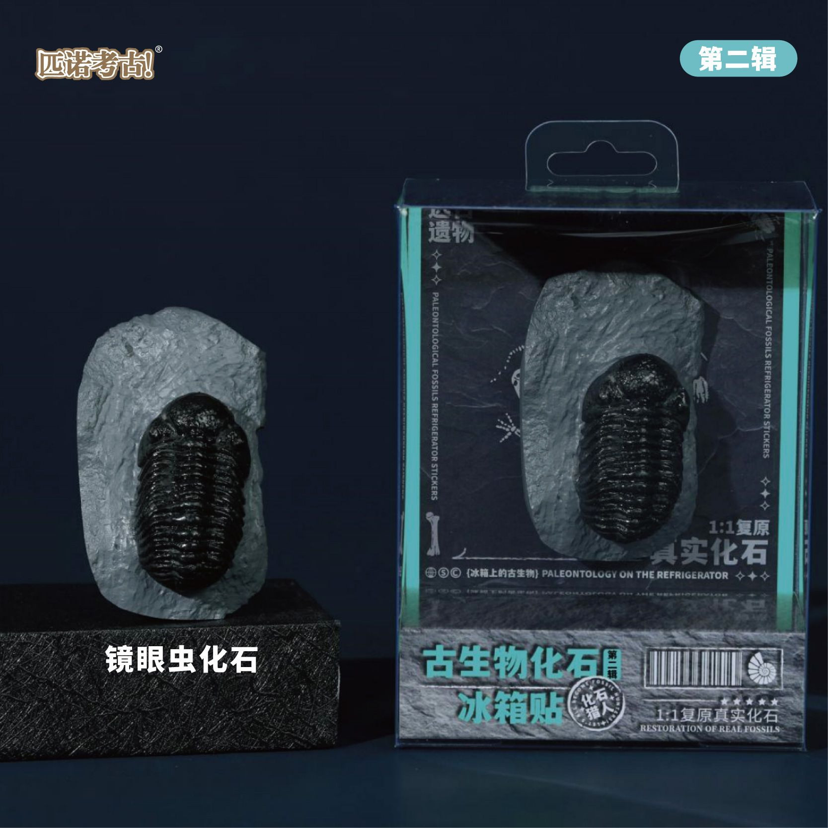Prehistoric Fossil Series   Collection (II) (6 Pieces)