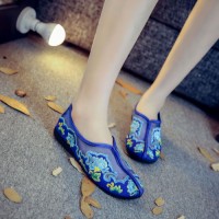 Casual Embroidered Ladies Shoes SHO-012
