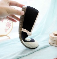 Casual Embroidered Ladies Shoes SHO-015