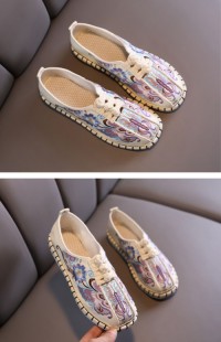 Casual Embroidered Ladies Shoes SHO-019