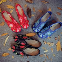 Casual Embroidered Ladies Shoes SHO-012