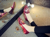 Casual Embroidered Ladies Shoes SHO-020