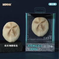 Prehistoric Fossil Series   Collection (II) (6 Pieces)