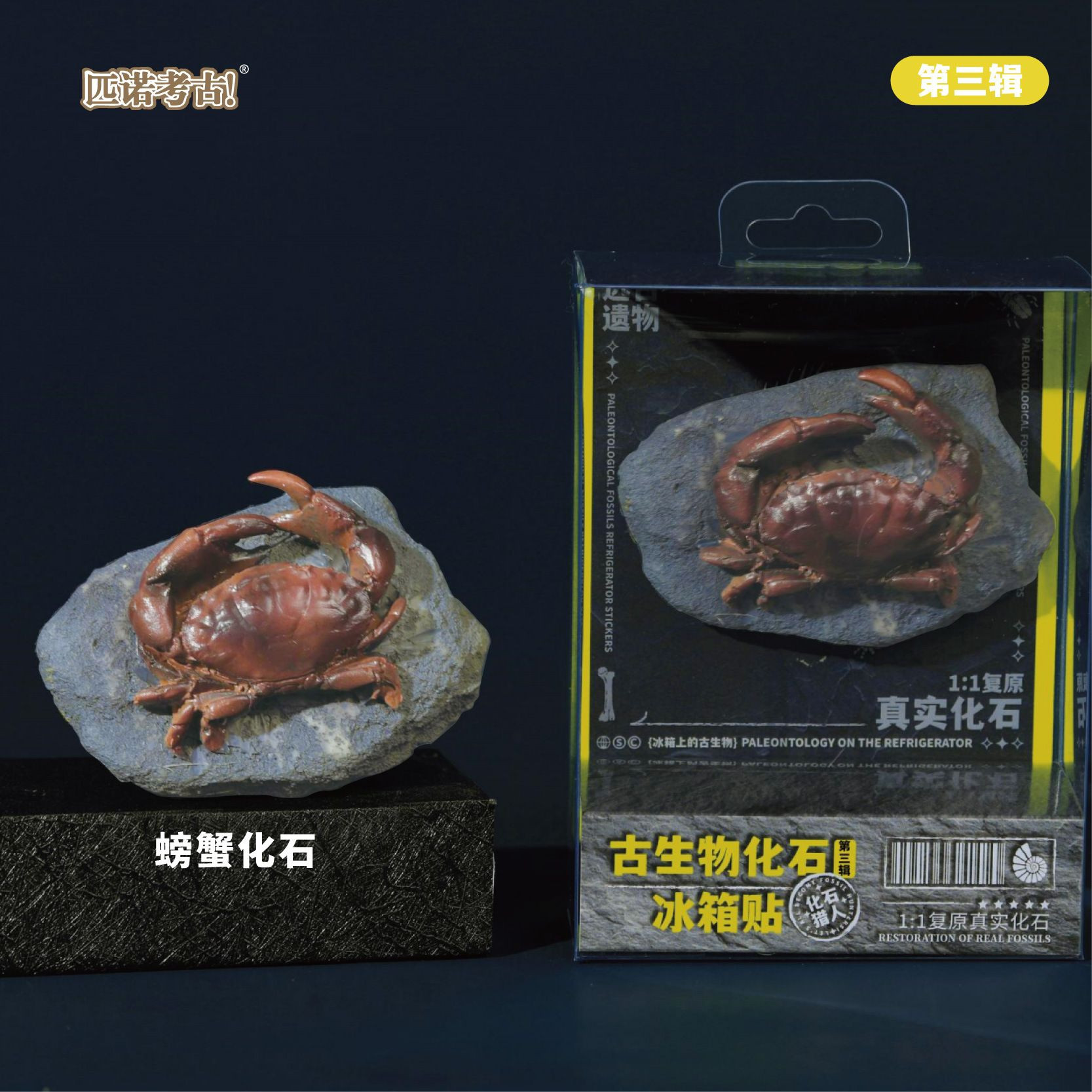 Prehistoric Fossil Series   Collection (III) (6 Pieces)