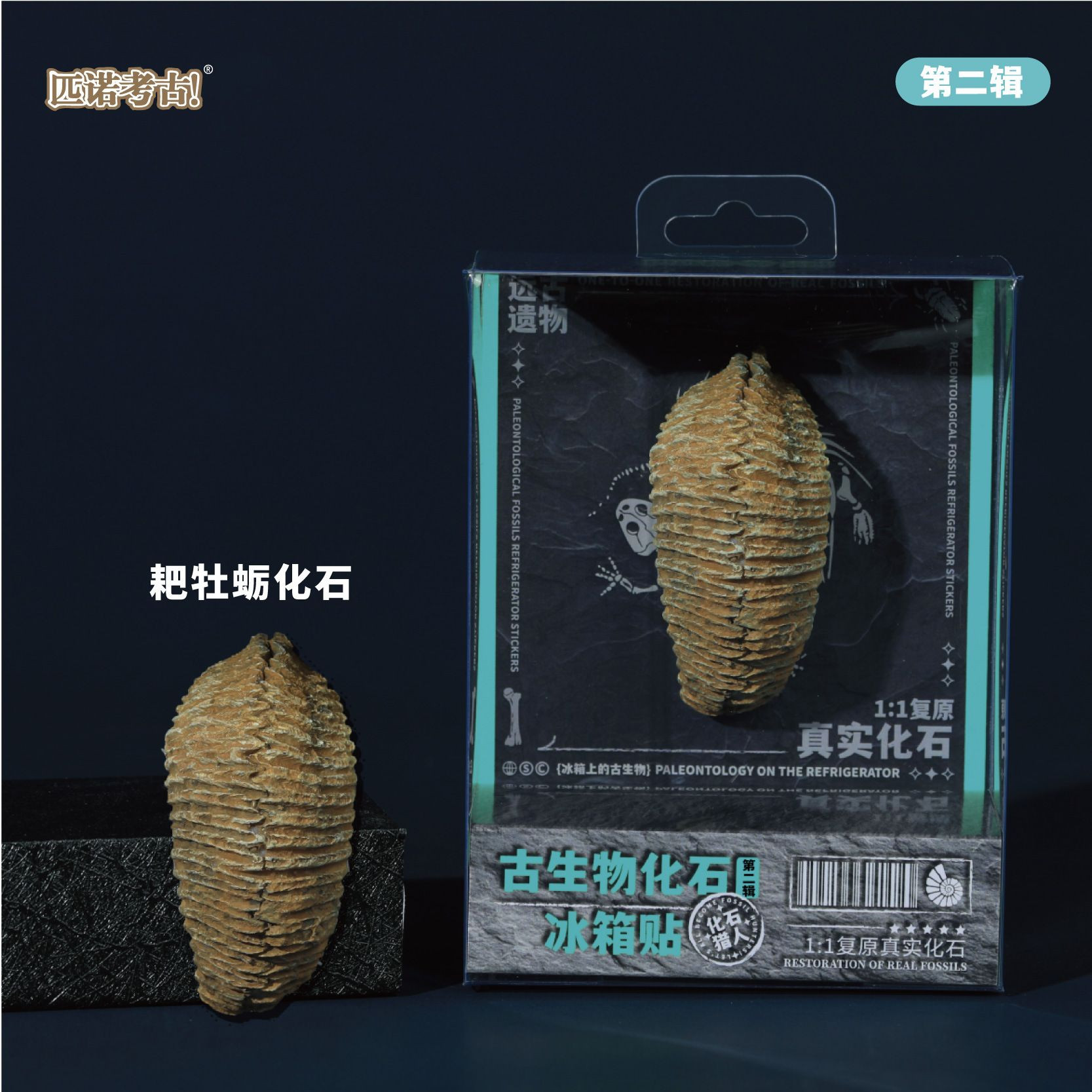 Prehistoric Fossil Series   Collection (II) (6 Pieces)