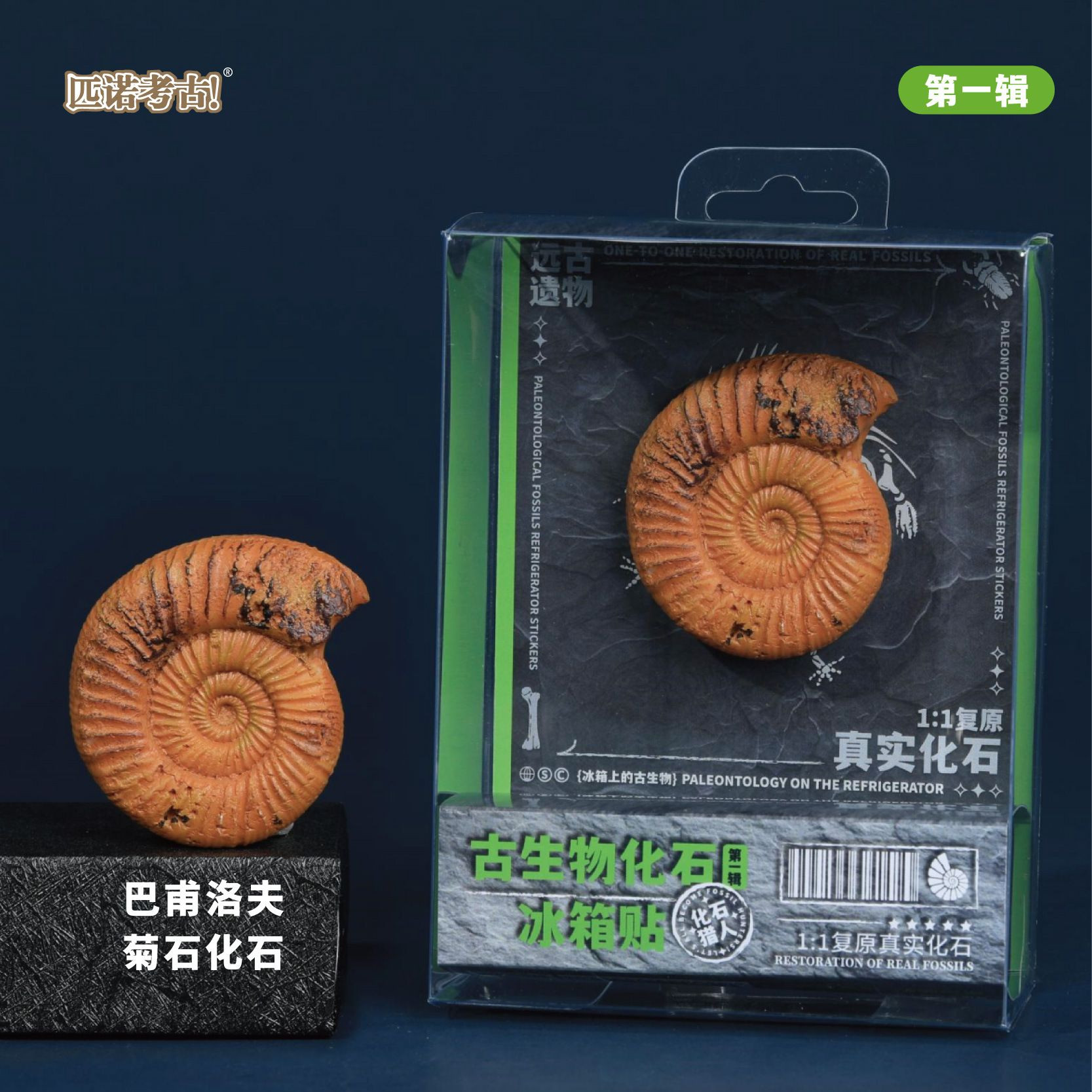 Prehistoric Fossil Series   Collection (I) (6 Pieces)